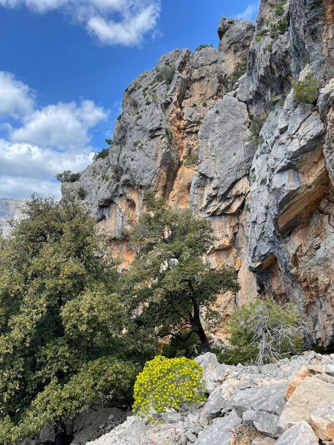 Apartamento Casa Vacanze Sa Piazza Dorgali Exterior foto